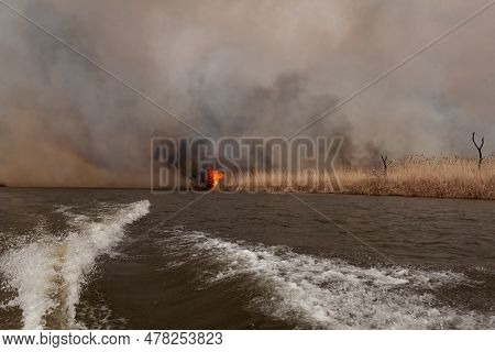 Disaster. Burning Reeds. Smoke From Reeds. Spring Fire In The Banks In The Astrakhan Region. Russia.