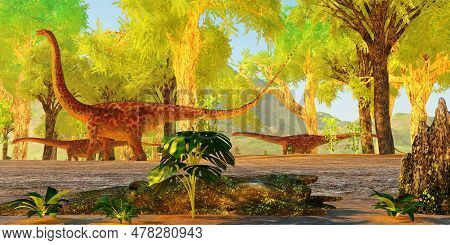 Diplodocus In Jurassic Forest 3d Illustration - Diplodocus Was A Herbivorous Sauropod Dinosaur That 
