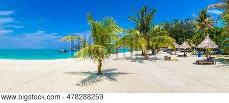 Panorama Of Single Small Palm Tree Hanging Over Tropical Beach With White Sand