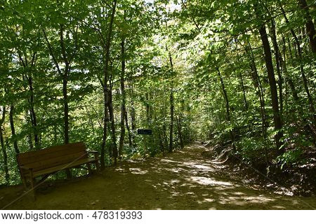 A Trail In The Forest In Early Autumn, Cap Tourmente, Québec, Canada
