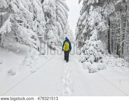 Two Hiking Tourists In Winter Landscape Of Moravskoslezske Beskydy Mountains Near Travny Hill