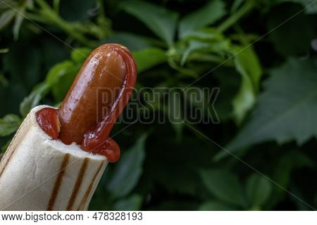 Traditional Polish Chicken Hot Dog Sausage With Tomato Ketchup. Green Nature Blur Background