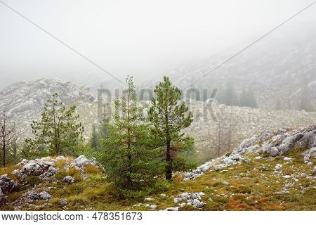A Picturesque Landscape Of A Mountain Valley In Lovchen National Park, Montenegro On A Foggy Day. Ba