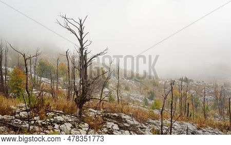 A Picturesque Landscape Of A Mountain Valley In Lovchen National Park, Montenegro On An Autumn Foggy
