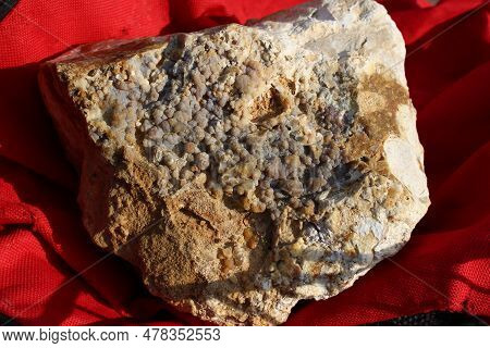 Reniform Chalcedony On Flint Found On A Quarry, Rockhounding