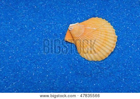 Shell på blå Sand