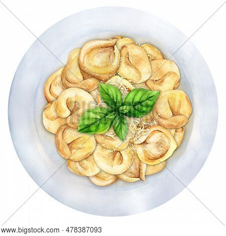 Delicious Cappelletti, Ravioli, Tortellini With Parmesan Cheese And Basil. Italian Cuisine. Top View