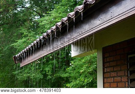 Low Angle View Of Rain Water Flowing Down From The Eaves Of A House With Wooden Fascia, Bricks Wall,