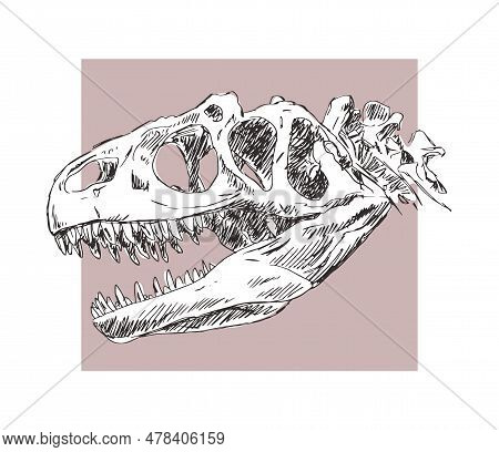 Dinosaur Skull Skeleton. Allosaurus Lizard. Scary Monster Predator With Teeth. The Science Of Paleon