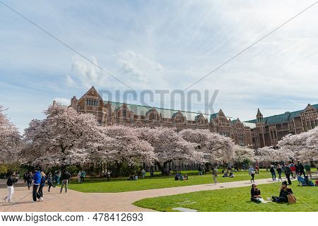 Seattle, Washington Usa - April 02, 2021: Washington University Campus With Blooming Trees In Park