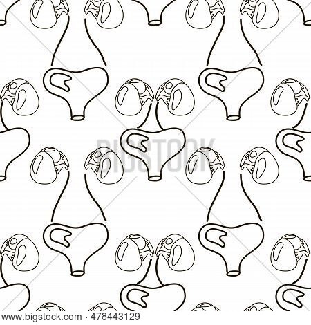 Pattern Human Kidneys Vector & Photo (Free Trial) | Bigstock