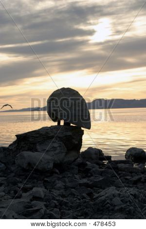 Sunset And Silhouette