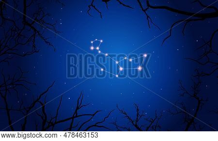 Vector Illustration Of Constellation Cetus On The Background Of A Starry Sky And Tree Branches. Cons