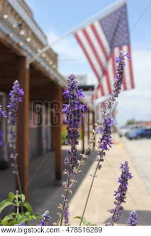 Close Up Of Purple Flowers Growing In Historic Downtown Granger Tx