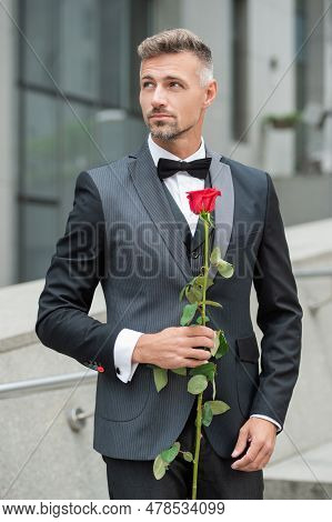 Elegant Man In Black Tux. Man Wearing Tux Bowtie Outdoor. Grizzled Tux Man With Red Rose
