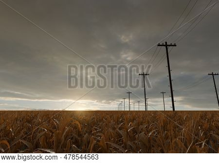 3d Rendering Of Withered Corn Field Next To Utility Poles