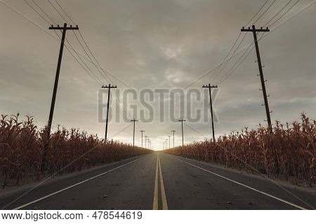 3d Rendering Of A Road With Yellow Line In The Centre. Between Withered Corn Field And Utility Poles