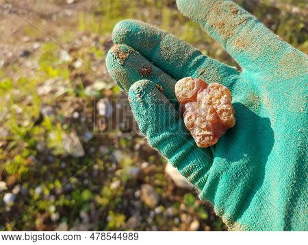 Reniform Concretion Of Carnelian In Hand, Rockhounding