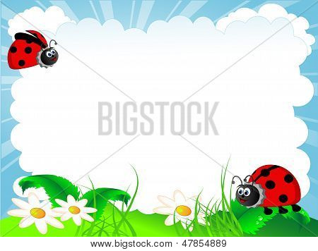 Ladybird