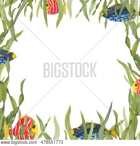 Watercolor Card For Children\\\'s Birthdays Isolated On White Background. Hand Painted Illustration 