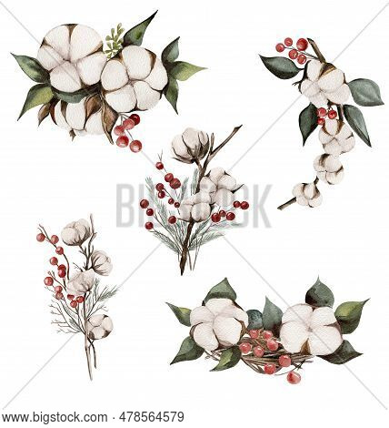 Cotton Branches And Red Berries Composition . Hand Drawn Illustration . Perfect For Scrapbooking, Ki