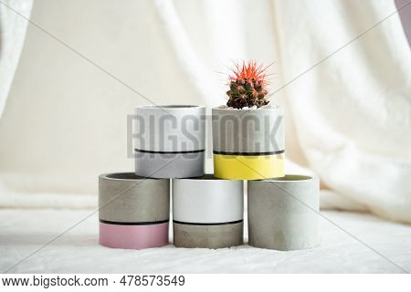 Cactus With Red Needles In A Concrete Pot On A Textile Background. Concrete Cache-pot. Fashion Trend