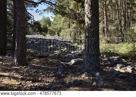 Stone River In The Sierra De Tremedal (teruel). The Stone Blocks Are Formed By The Action Of Ice