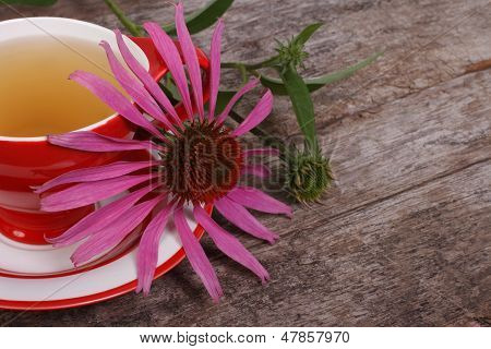 Echinacea teetä vanha puinen