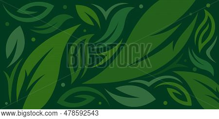 Bright Tropical Background Nature Leaf, Vector Exotic Pattern With Leaf Abstract Illustration Design
