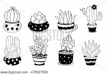 Cactus Flowerpots Doodles. Collection Tropical Houseplant. Vector Illustration. Isolated Hand Drawin