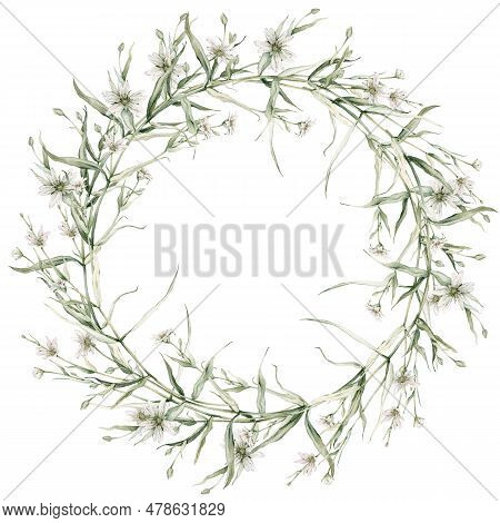 Wreath Of White Flower Meadow, Forest Flowers. Rabelera Holostea, Syn. Stellaria Holostea.watercolor