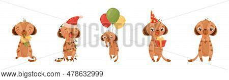 Cute Meerkat Or Suricate With Brindled Coat Vector Set