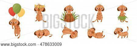 Cute Meerkat Or Suricate With Brindled Coat Vector Set