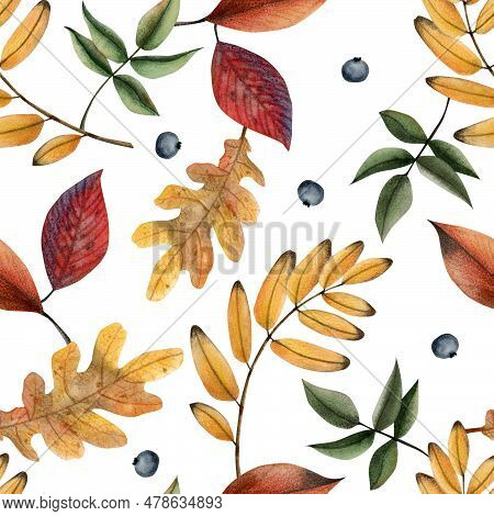 Watercolor Fallen Autumn Leaves And Blue Berries Seamless Pattern On White. Fall Botanical Backgroun