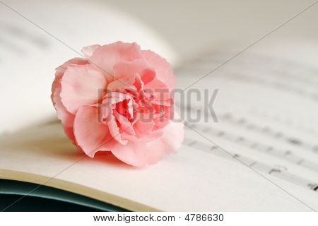 Blomst og noter