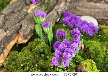 Blomster, træ bark og mos i skoven tæt op