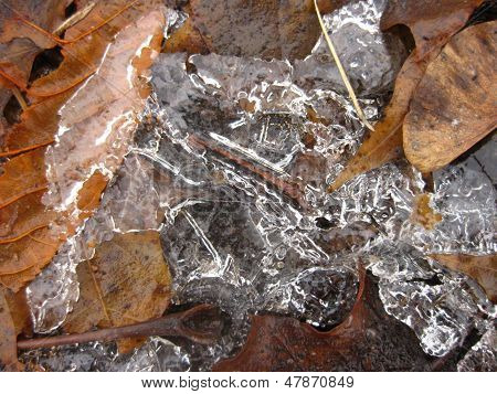 Kristall Licht Eis auf gefallenen Herbst Blätter