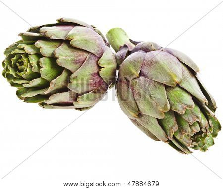 tuore artisokka eristetty valkoisella taustalla 