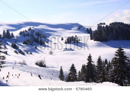 Ski Slopes
