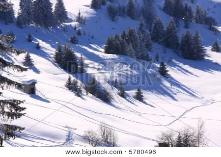 Ski Slopes
