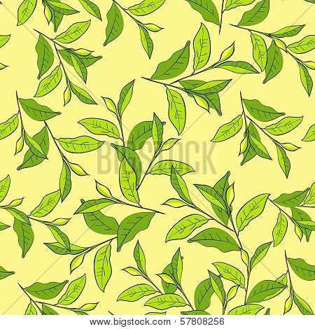 Colorful background with leaves.