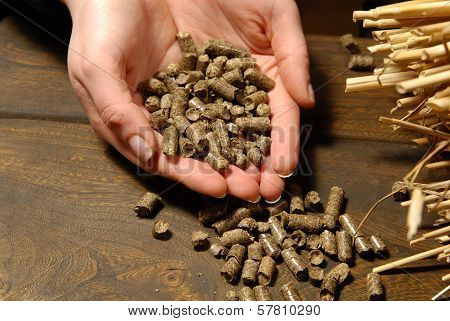 Ecological Fuel