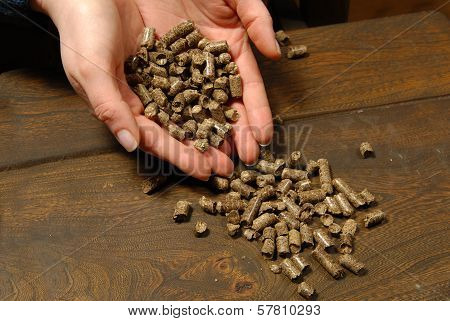 Ecological Fuel