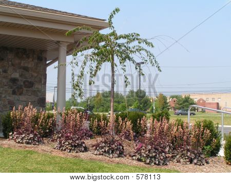 Landscapign comercial