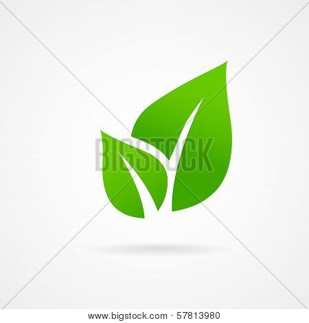 Eco icon green leaf vector illustration isolated