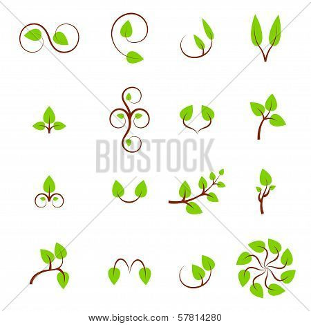 Set of green leaves design elements