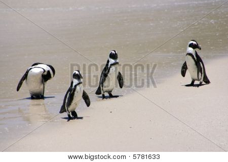 Penguin Group
