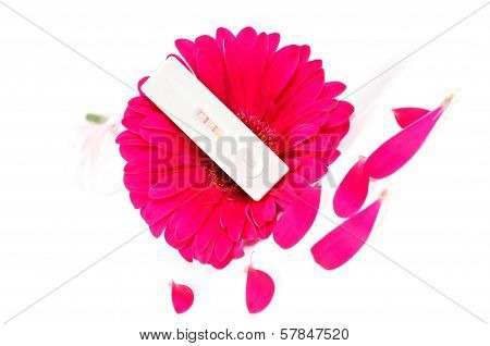 Positive pregnancy test and pink gerbera
