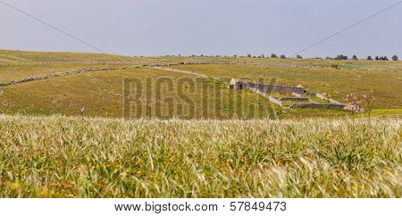 Pastures Panorama