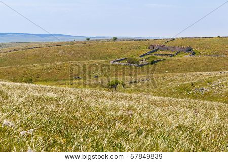 Jazzo On The Hill
